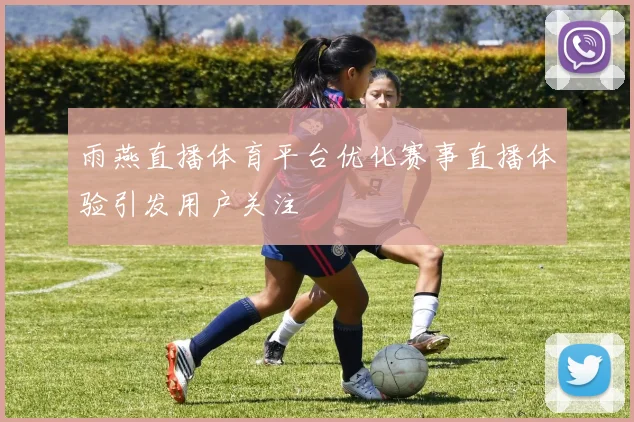雨燕直播体育平台优化赛事直播体验引发用户关注