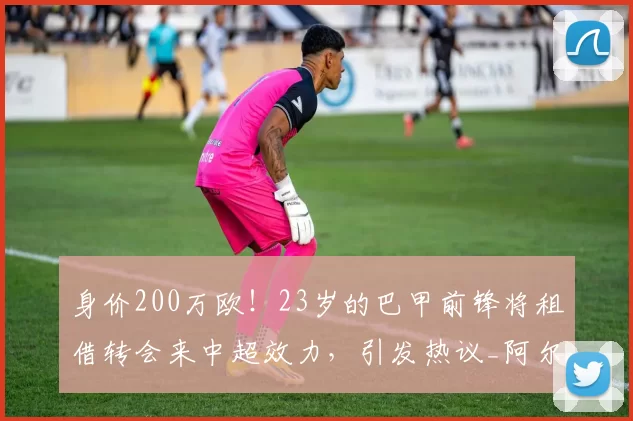 身价200万欧!23岁的巴甲前锋将租借转会来中超效力,引发热议_阿尔贝托_帕拉西奥斯_累西腓