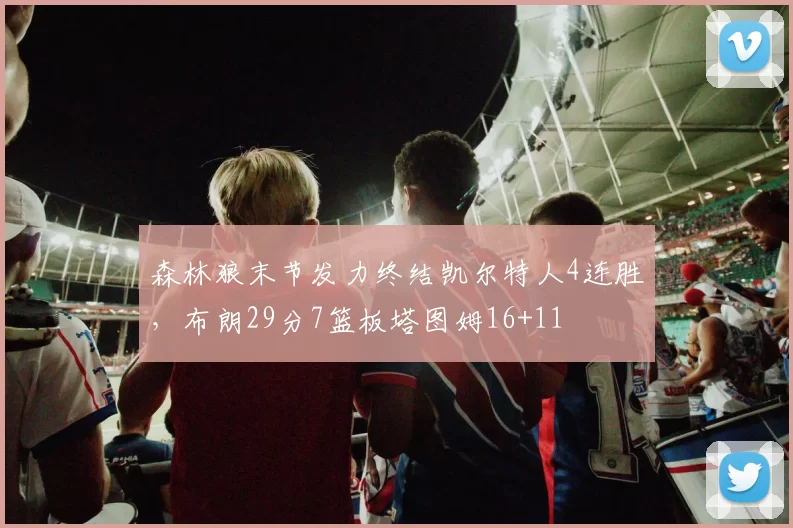 森林狼末节发力终结凯尔特人4连胜，布朗29分7篮板塔图姆16+11