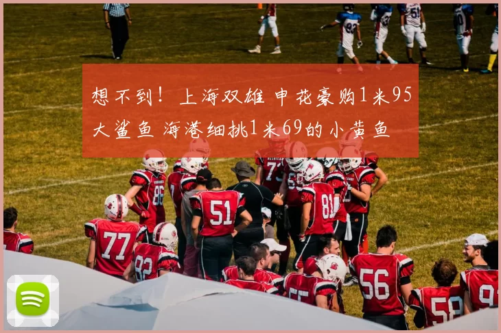 想不到！上海双雄 申花豪购1米95大鲨鱼 海港细挑1米69的小黄鱼