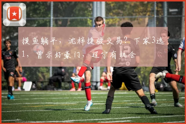 摸鱼躺平，沈梓捷被交易？下家3选1，曾示好豪门，辽宁有机会