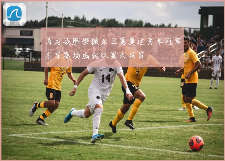 马龙战胜樊振东卫冕奥运男单冠军东京赛场成就双圈大满贯