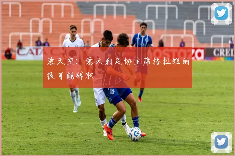 意天空：意大利足协主席格拉维纳很可能辞职